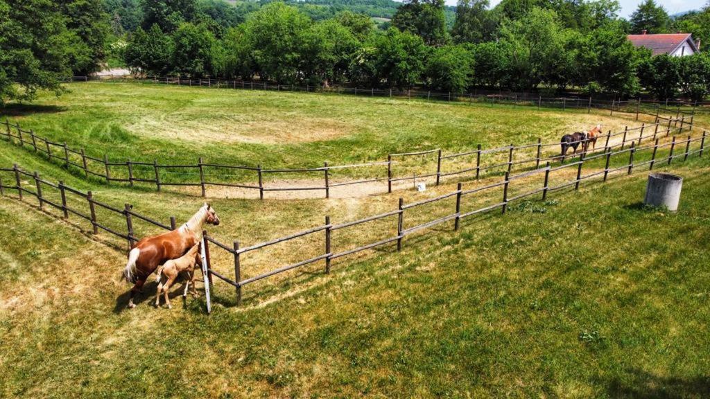 Amigosranch Vila Kruševac Exterior foto