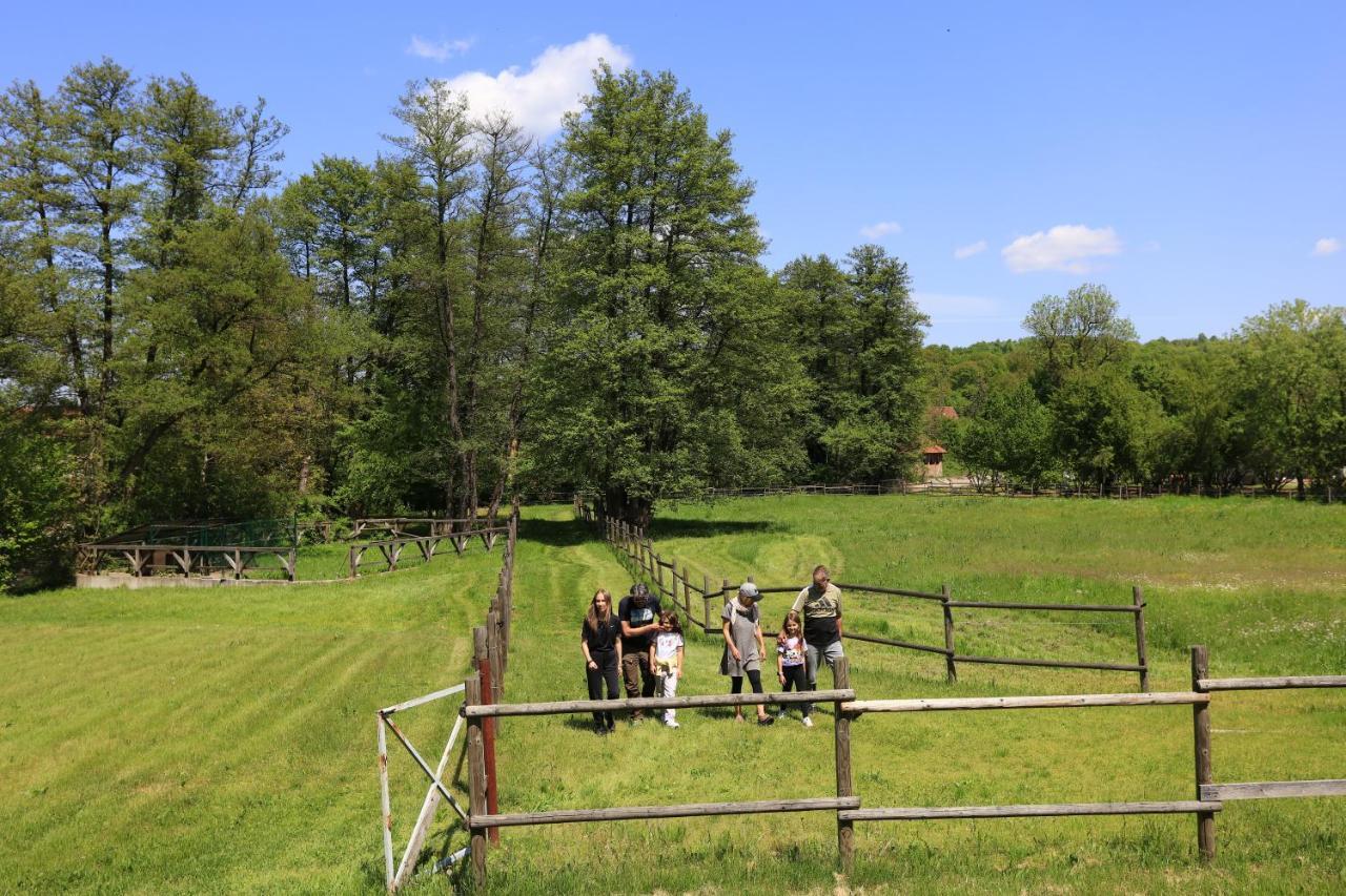 Amigosranch Vila Kruševac Exterior foto